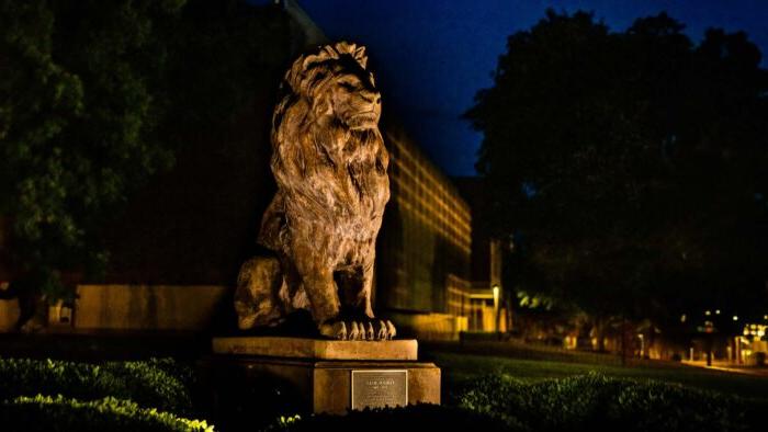 Lion statue on campus is illuminated in the dark.